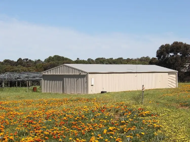 Fourth view of Homely house listing, 81 Tooma Road, Murray Bridge SA 5253