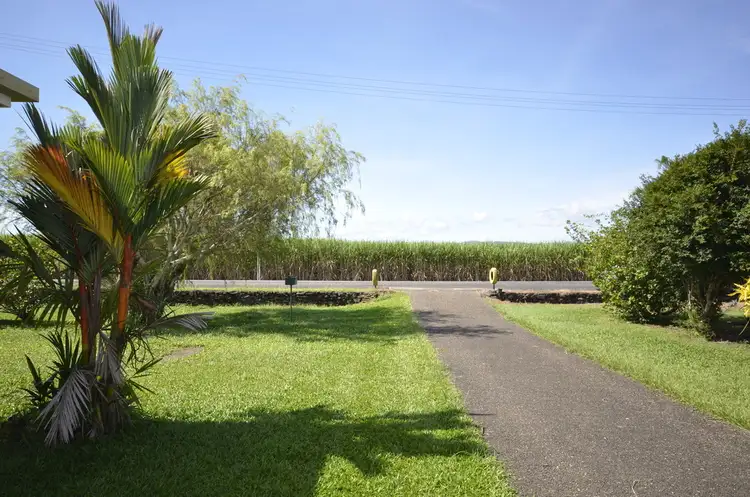 Seventh view of Homely house listing, 9 Cedars Street, Mossman QLD 4873