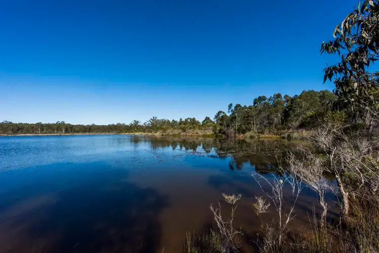 Third view of Homely rural property listing, Lot 165 Orara Way, Lanitza NSW 2460