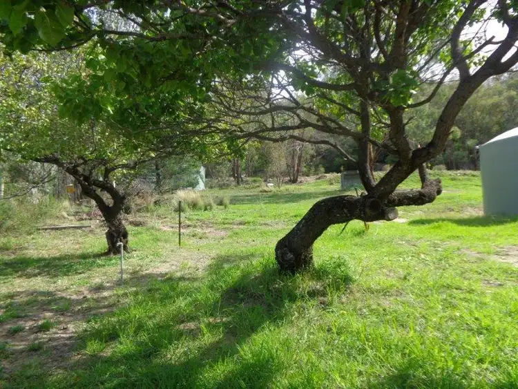 Fifth view of Homely rural property listing, 733 New England Gully Road, Tamworth NSW 2340