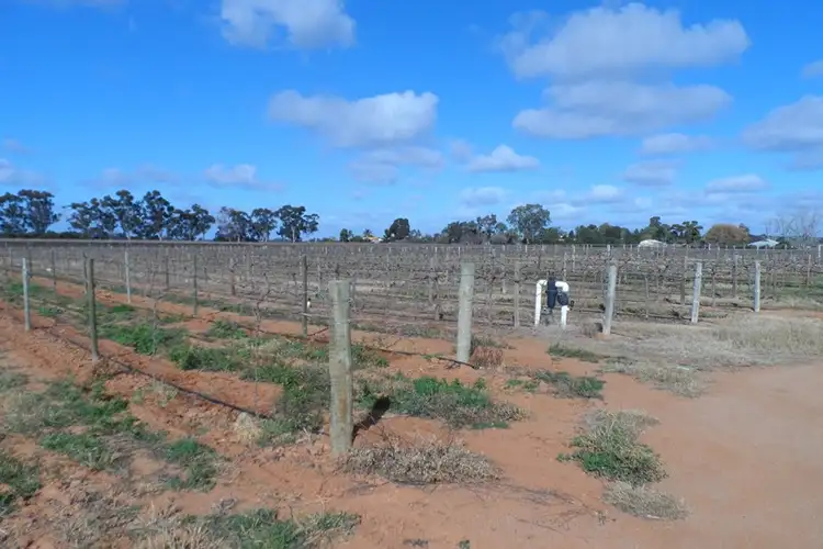 Fifth view of Homely land listing, Lot 101 Darling Street, Renmark SA 5341