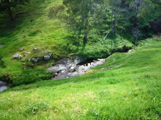 Fifth view of Homely house listing, 127 Widdons Road, Devon North VIC 3971