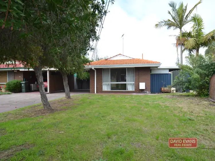 Main view of Homely semi-detached listing, 3a Kulindi Crescent, Wanneroo WA 6065