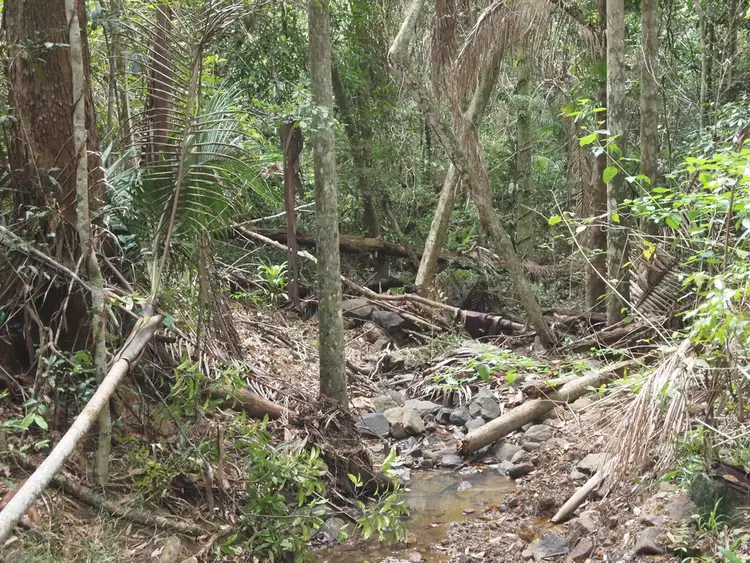 Sixth view of Homely land listing, 385 Old Tewantin Road, Lake Macdonald QLD 4563