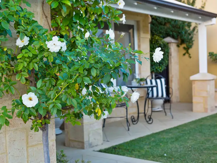 Sixth view of Homely house listing, 37 Macaulay Crescent, Inglewood WA 6052