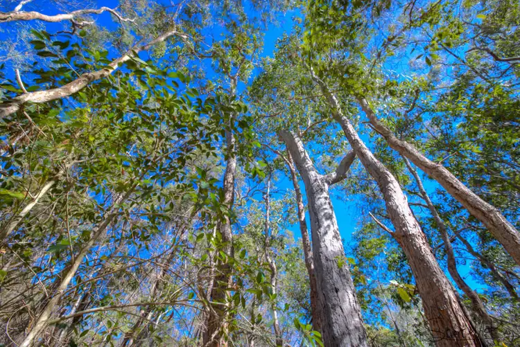 Seventh view of Homely land listing, 311 Innamincka Way, Agnes Water QLD 4677