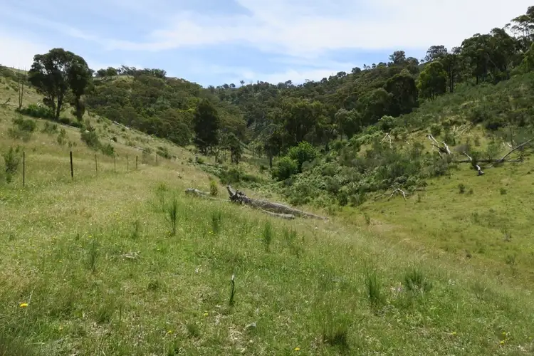 Seventh view of Homely rural property listing, Address available on request