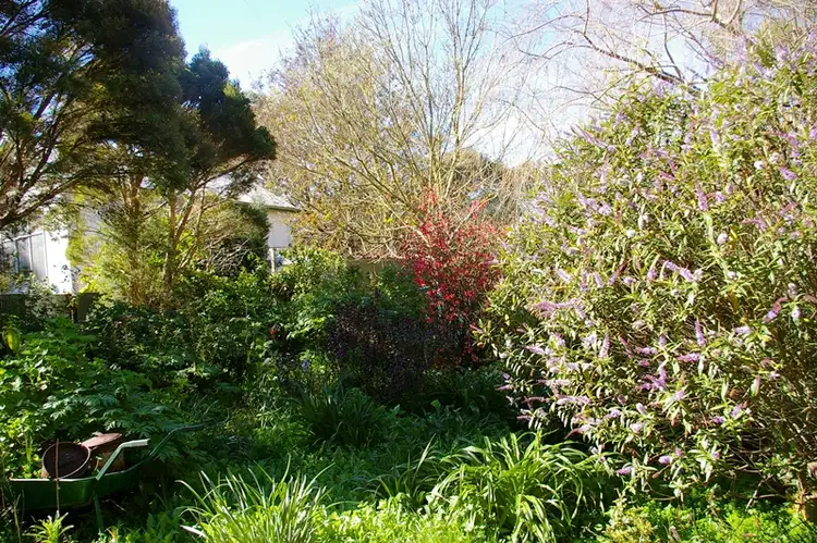 Third view of Homely house listing, 11 Turnley Street, Merino VIC 3310