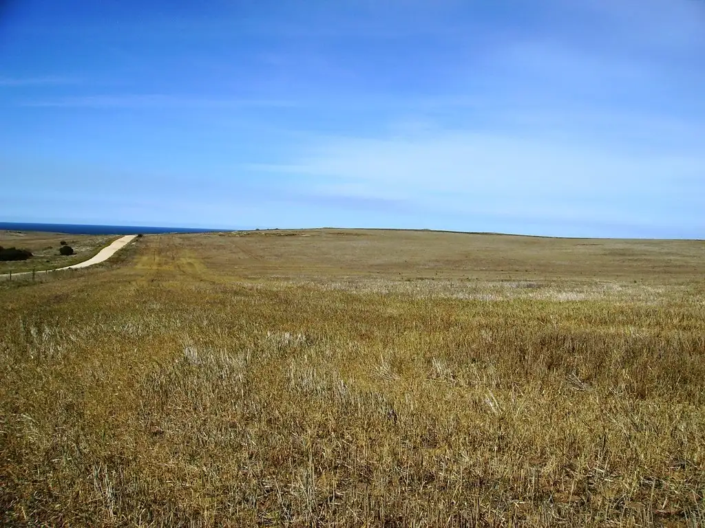 Main view of Homely rural property listing, Section 425 KIANDRA ROAD, Lipson SA 5607