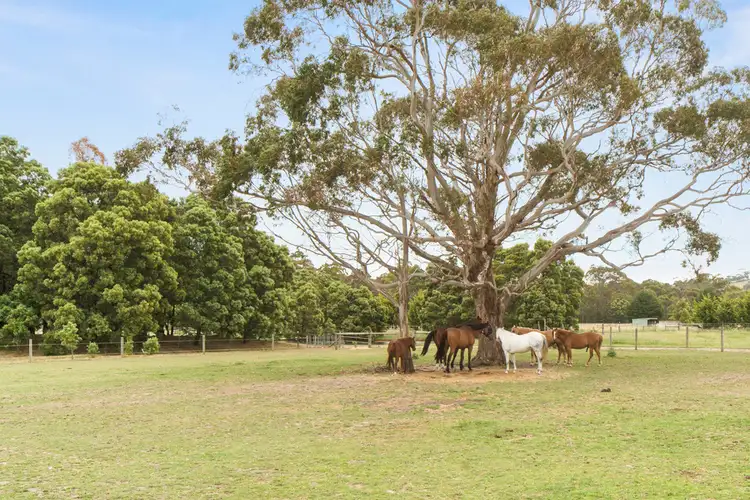 Sixth view of Homely house listing, 841 Bacchus Marsh Road, Bullengarook VIC 3437