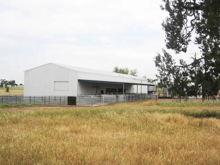 Sixth view of Homely rural property listing, . Carramar / Yarrawonga Road, Mulwala NSW 2647