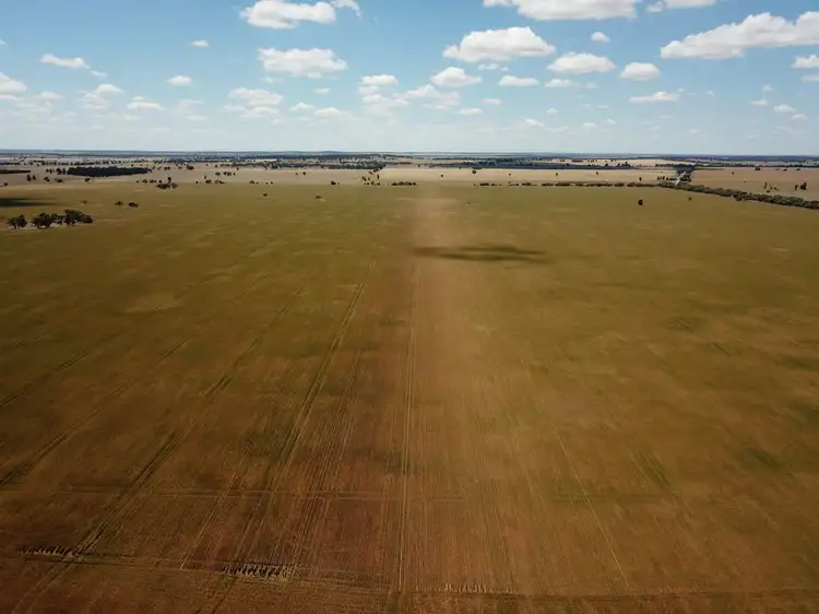 Fourth view of Homely rural property listing, - 'Kolkibertoo', West Wyalong NSW 2671