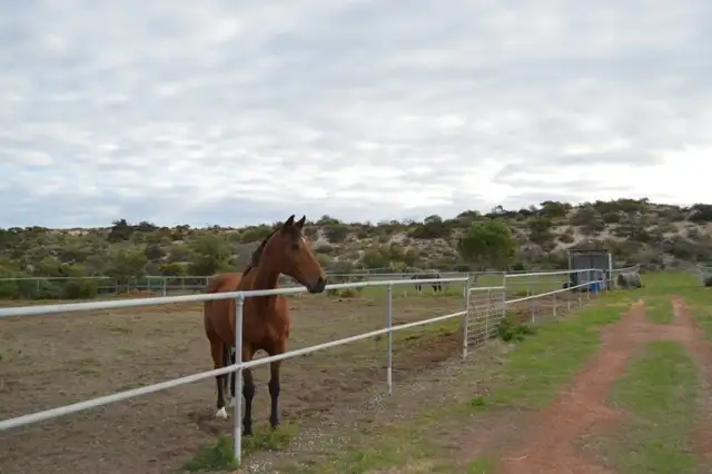 Third view of Homely house listing, 1599 North West Coastal Hwy, Buller WA 6532