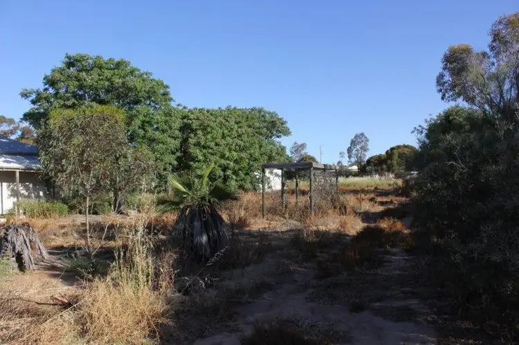 Fifth view of Homely house listing, 19 & 21 Todd Street, Merredin WA 6415