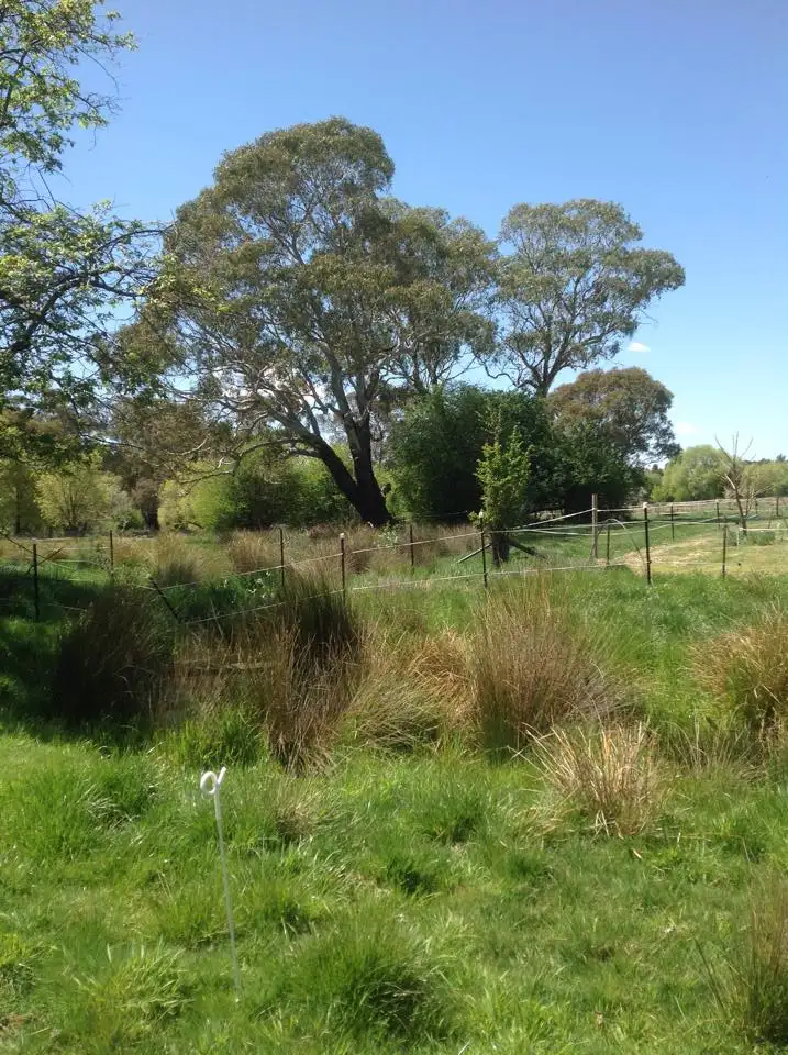 Second view of Homely rural property listing, 407 Pinnacle Road, Orange NSW 2800