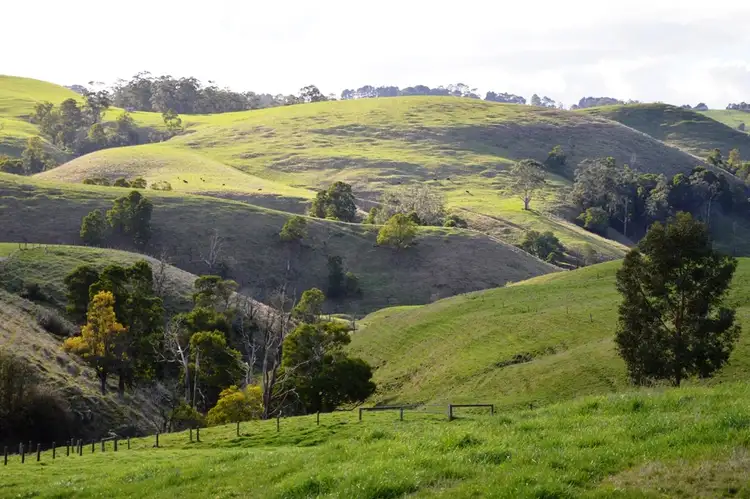 Sixth view of Homely rural property listing, 80 Wilsons Road, Arawata via, Korumburra VIC 3950