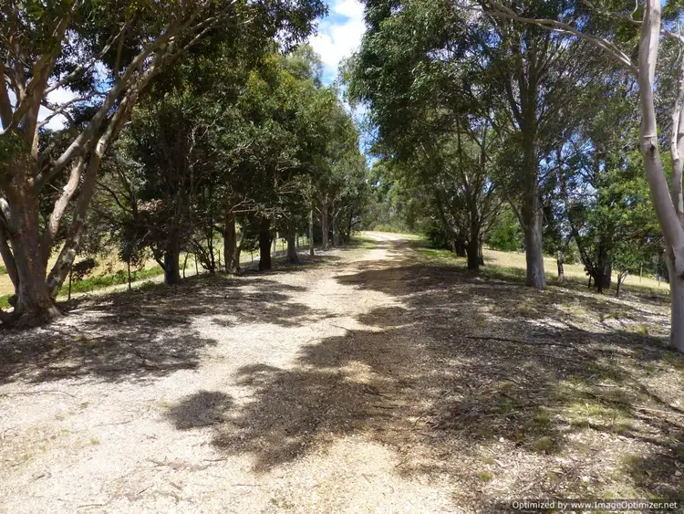 Third view of Homely rural property listing, 160 Howletts Road, Nicholson VIC 3882