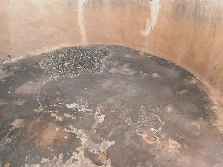 Sixth view of Homely rural property listing, Lot 3 Naidia Road, Swan Reach SA 5354