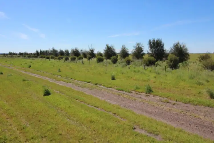 Sixth view of Homely rural property listing, 529 Morambro Road, Naracoorte SA 5271