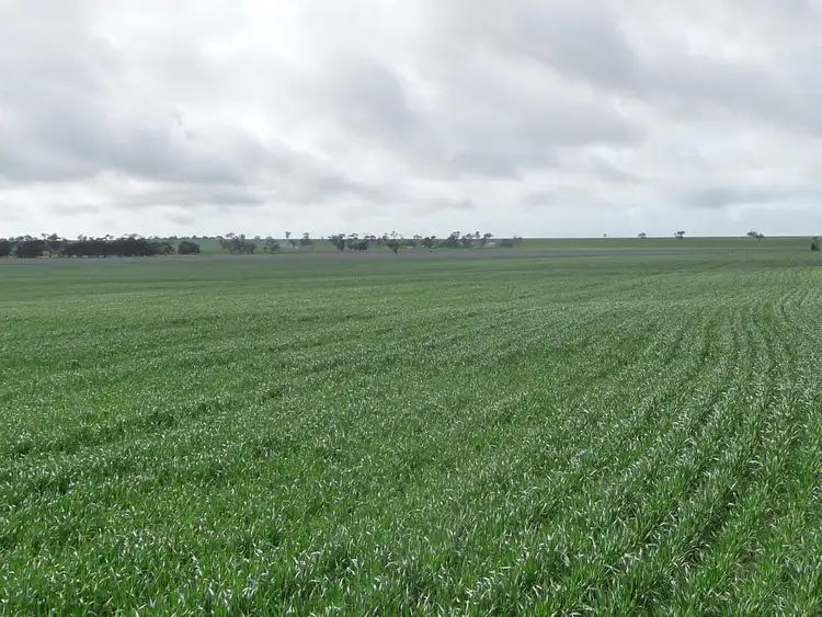 Second view of Homely rural property listing, # Dow Wells Road, Nhill VIC 3418