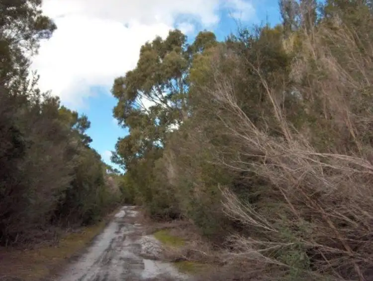 Fourth view of Homely land listing, 179 Potboil Road, Flinders Island TAS 7255