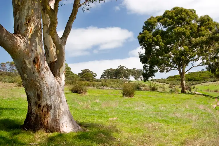Lot 2 Blackmore Road, Ashbourne SA 5157