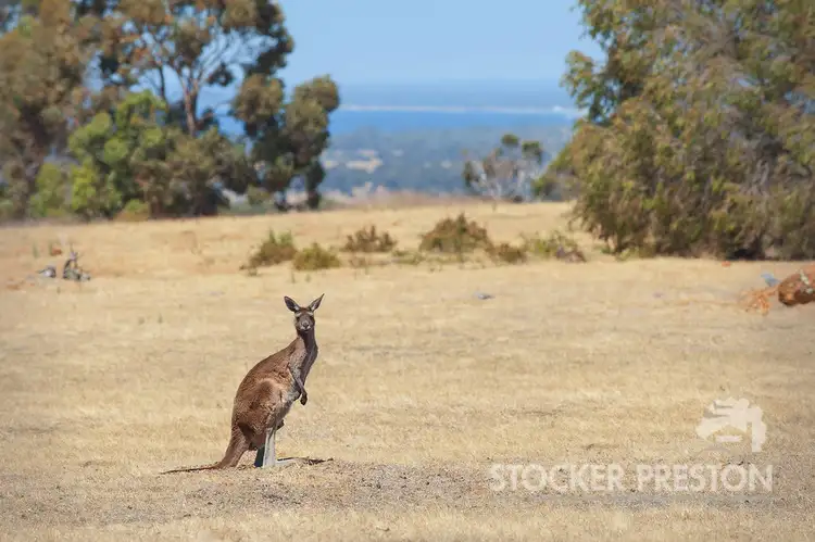 Second view of Homely land listing, 118 Kinross Loop, Quindalup WA 6281