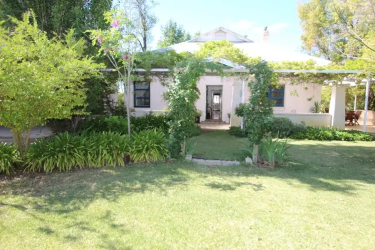 20266 Renmark Avenue, Renmark SA 5341