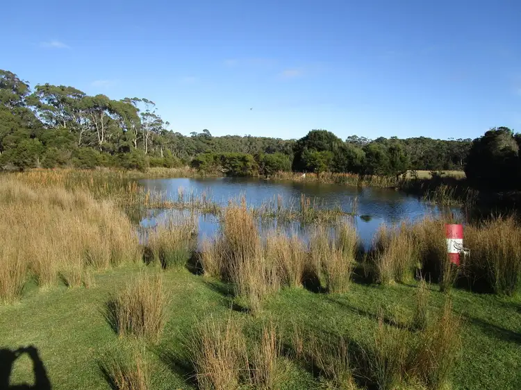 Fourth view of Homely rural property listing, 295 Palmers Road, Latrobe TAS 7307