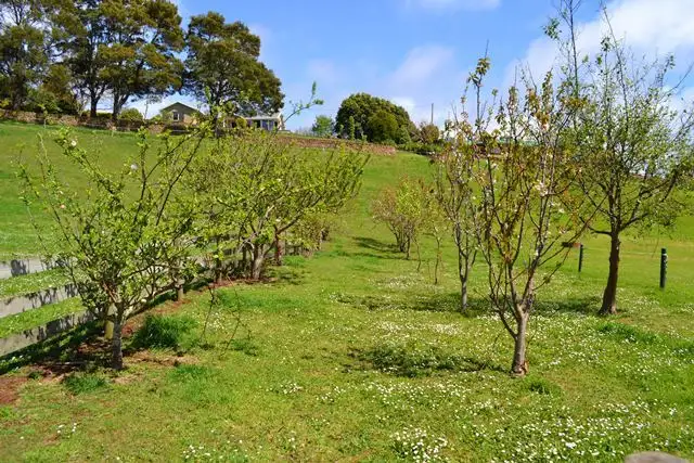 Fourth view of Homely land listing, 171 Port Road, Boat Harbour TAS 7321