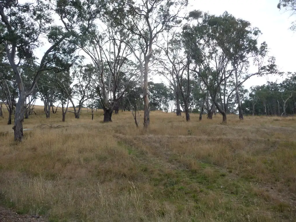 Main view of Homely rural property listing, 5165 Coleraine-Edenhope Road, Harrow VIC 3317