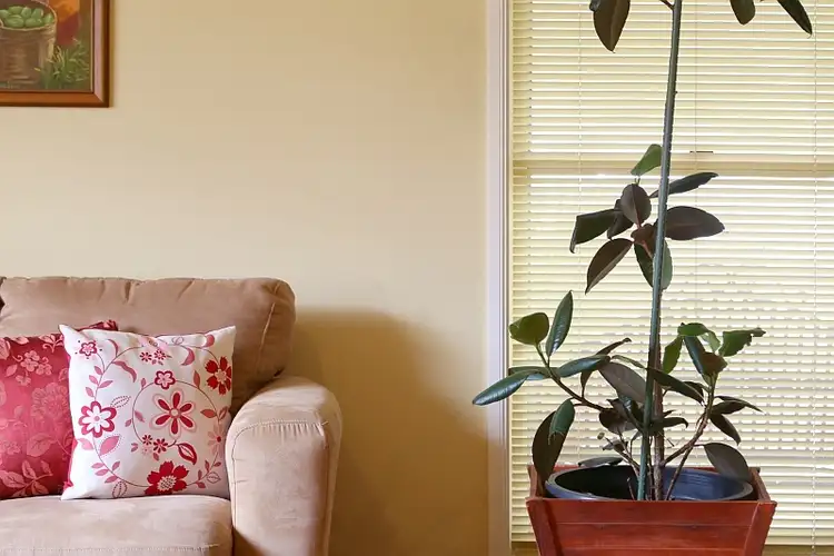 Sixth view of Homely house listing, 11 Popran Way, Blue Haven NSW 2262