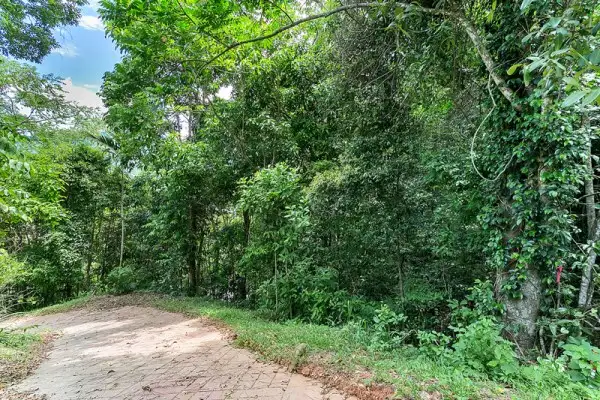 Fifth view of Homely land listing, 20 Knott crt, Whitfield QLD 4870