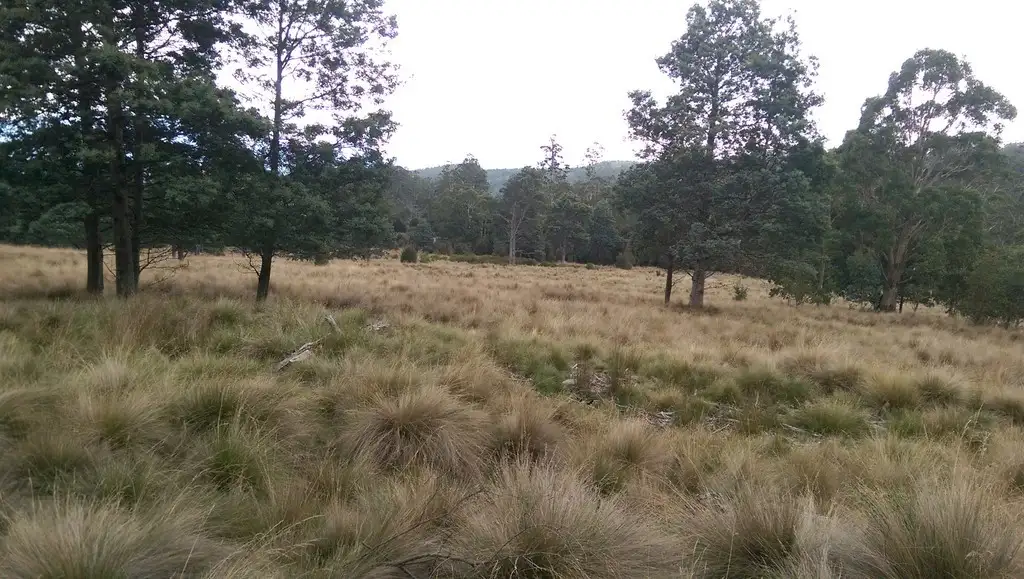 Main view of Homely rural property listing, Lot 4/600 Mount Barrow Rd, Nunamara TAS 7259