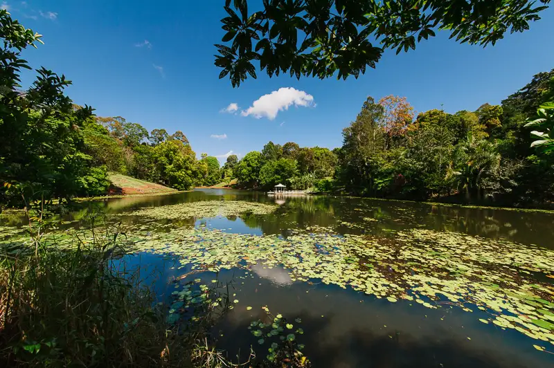 Main view of Homely house listing, 272-274 Flaxton Drive, Flaxton QLD 4560