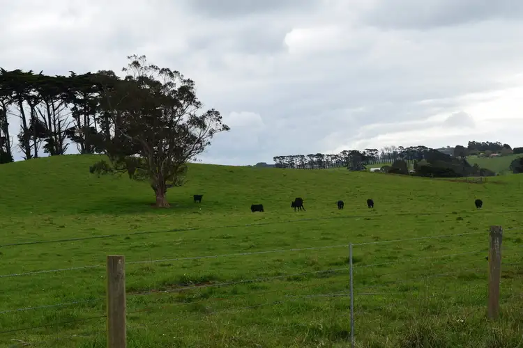 Third view of Homely rural property listing, 117 Narracan Connection Road, Narracan VIC 3824
