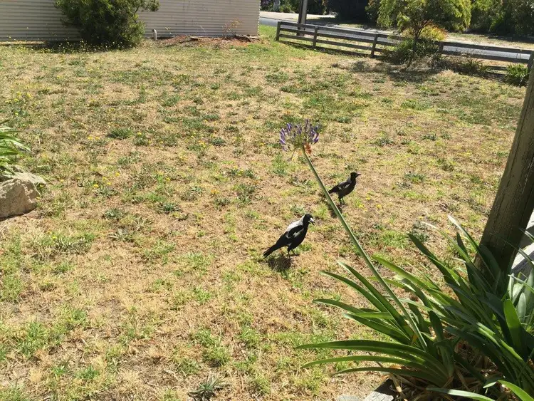 Fourth view of Homely house listing, 1 Acacia Avenue, Robe SA 5276