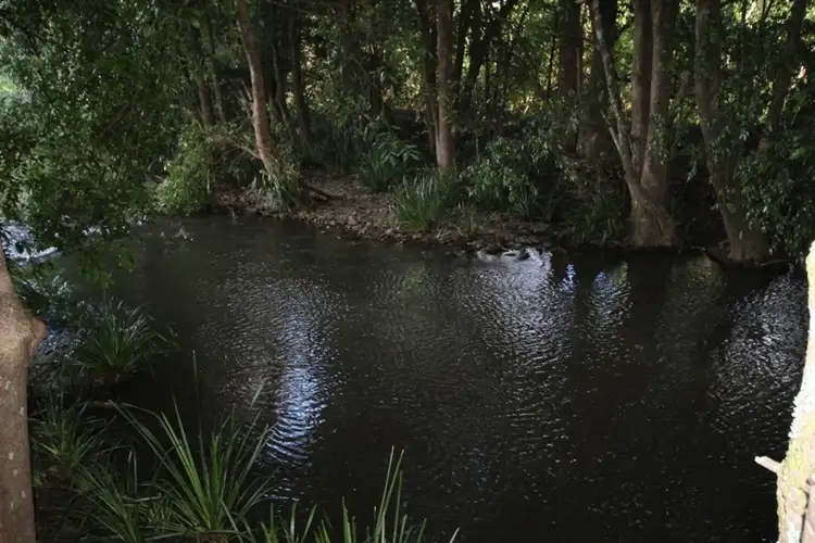 Seventh view of Homely rural property listing, 2 Locketts Crosing Road, Coolongolook NSW 2423