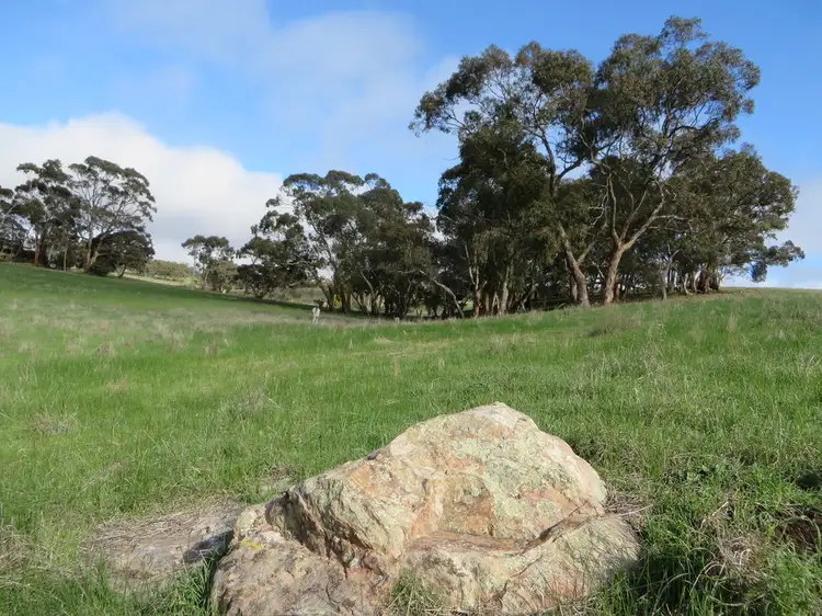 Fifth view of Homely land listing, Lot 202 Scobie Road, Clare SA 5453