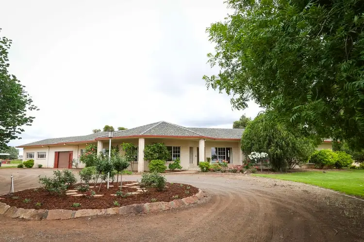 Second view of Homely rural property listing, 1316 Walla Avenue, Griffith NSW 2680