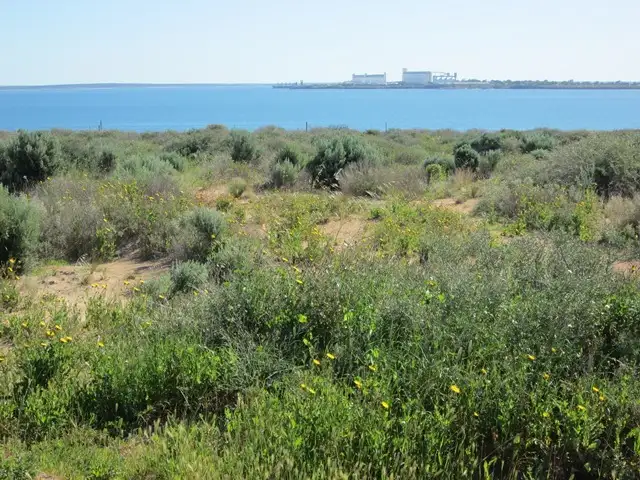 Main view of Homely land listing, Lot 74 Bosanquet Blvd Ceduna Waters, Ceduna SA 5690