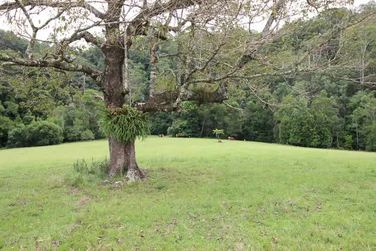 Sixth view of Homely rural property listing, Lot 101 Pappinbarra Rd, Pappinbarra NSW 2446
