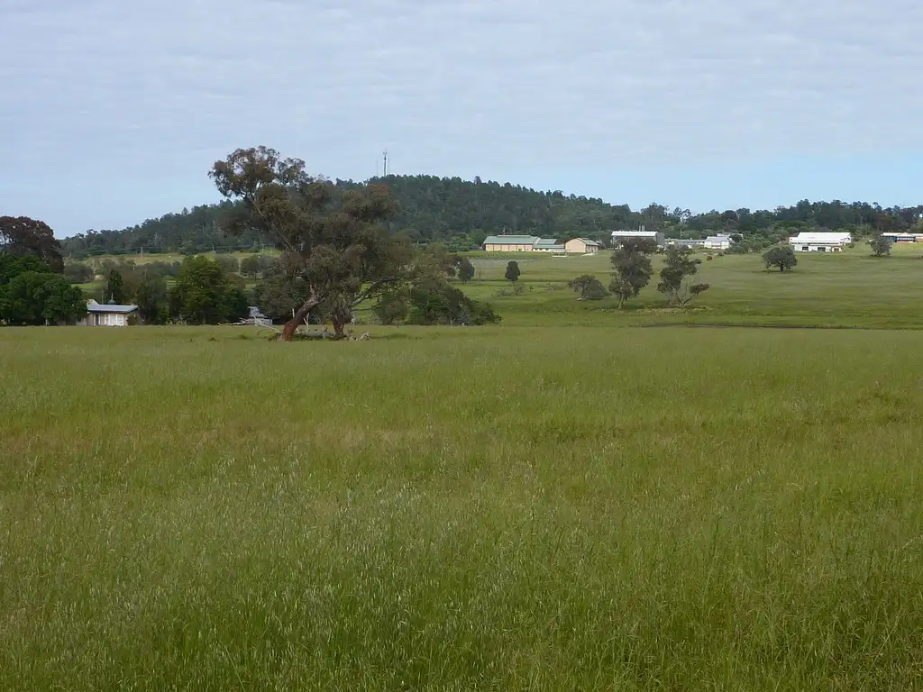 Main view of Homely rural property listing, 113 Coolamon Road, Wagga Wagga NSW 2650