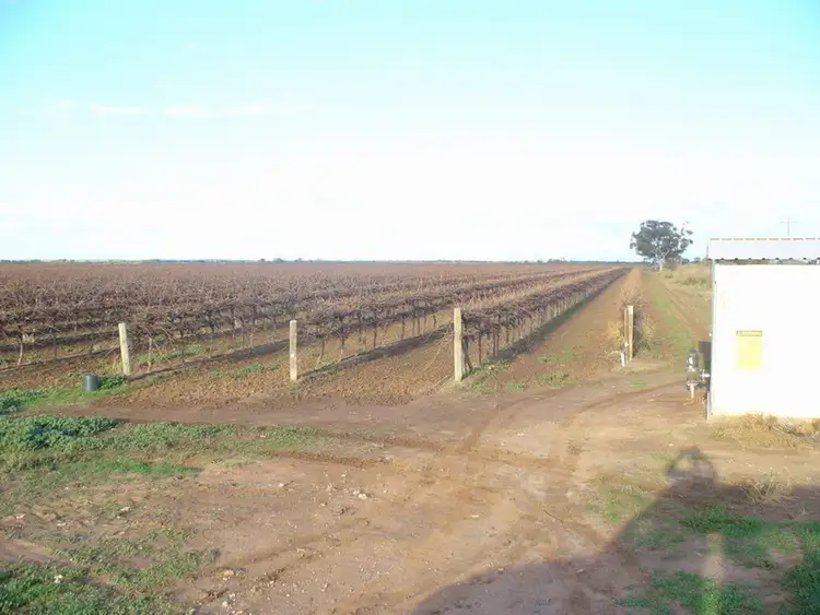 Farm 47 Bob Irvin Road, Hanwood NSW 2680