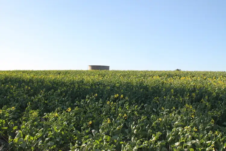 Main view of Homely rural property listing, - Ohau, Wagga Wagga NSW 2650