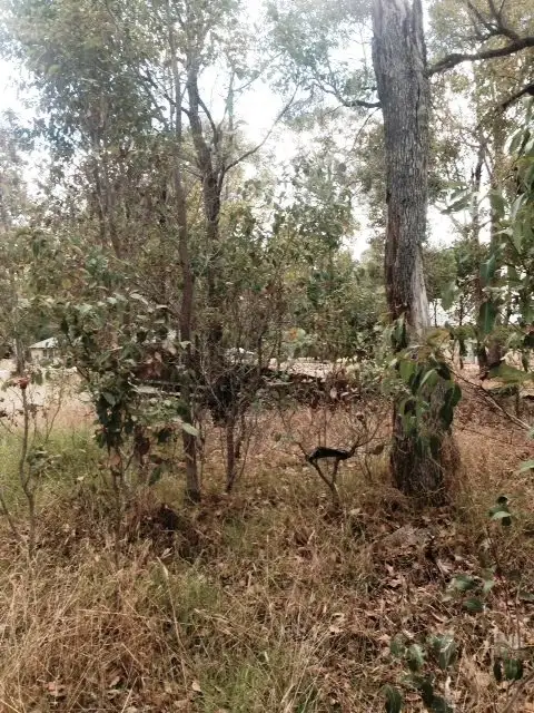 Sixth view of Homely land listing, 29 (L344) Honeysuckle Glen, Cowaramup WA 6284