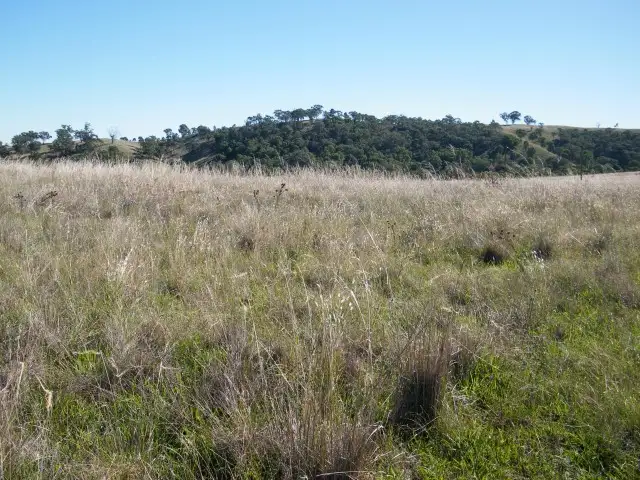 Fifth view of Homely rural property listing, 8 Raphie Howard Drive, Willow Tree NSW 2339