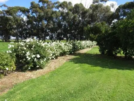 Third view of Homely rural property listing, "Wongalea" Moonee Swamp Road, Deniliquin NSW 2710