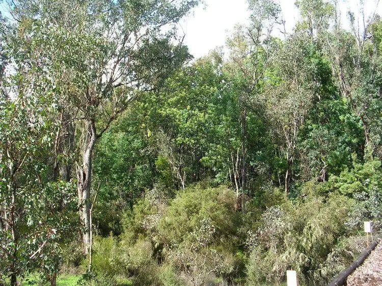 Second view of Homely rural property listing, Lot 2 Cormint Road, Manjimup WA 6258