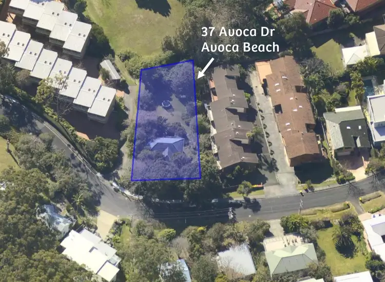 Second view of Homely house listing, 37 Avoca Dr, Avoca Beach NSW 2251